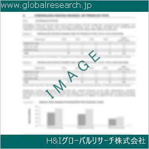 グローバルリサーチ調査資料のイメージ
